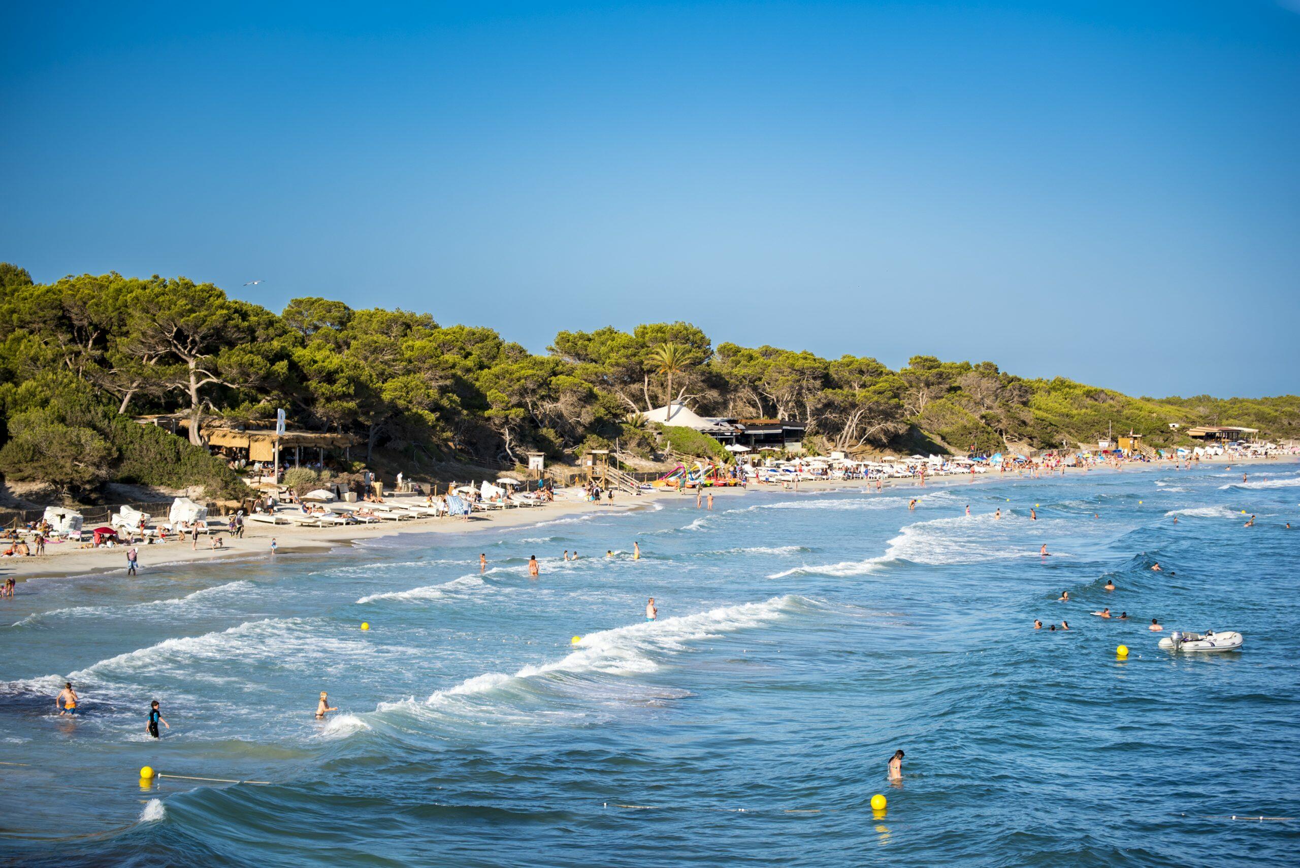 Plage de Ses Salines, Ibiza, avec des nageurs dans les vagues turquoise et des chaises longues le long d'une plage de sable bordée de pins.