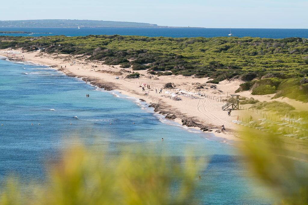 Ses Salines - acheter une propriété à Sant Josep