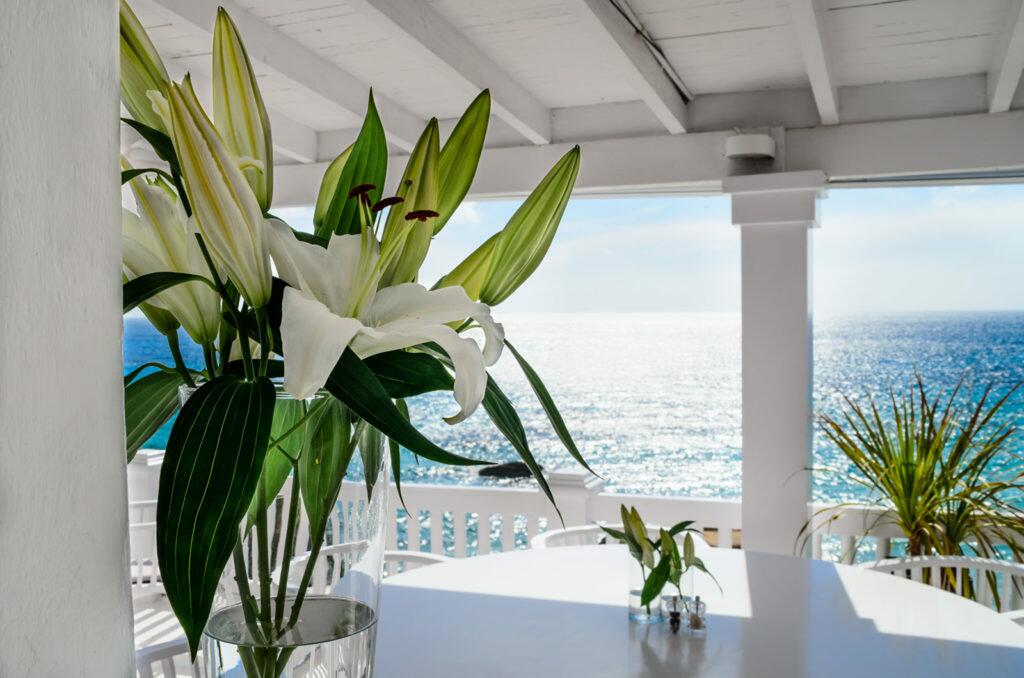 Cotton Beach club à Ibiza été 2020