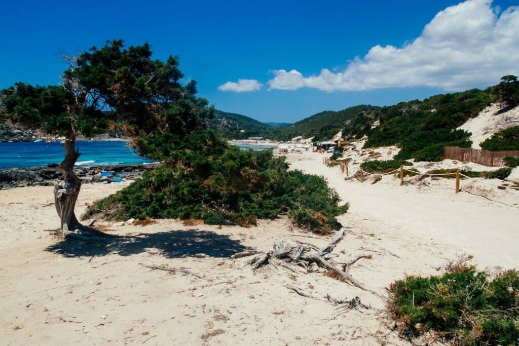 Plage de Las Salinas Ibiza