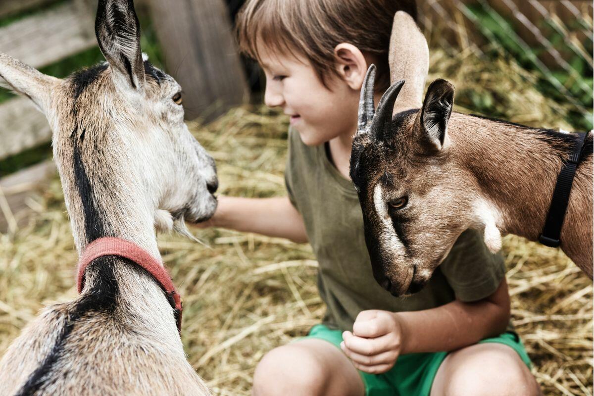 Ferme écologique Can Muson Ibiza