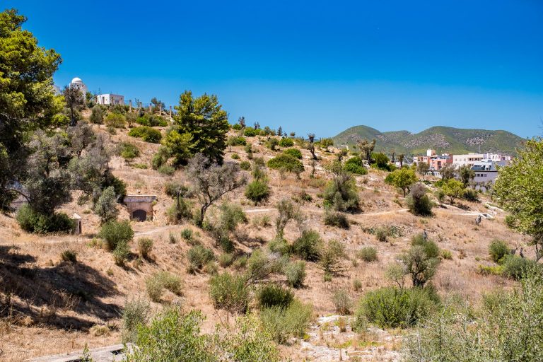 Musée monographique de Puig des Molins