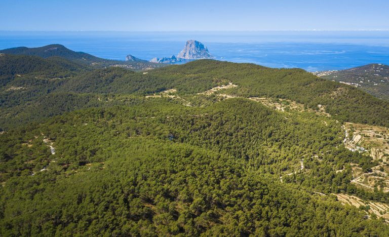 Propriétés à vendre et à louer à San José de Sa Talaia