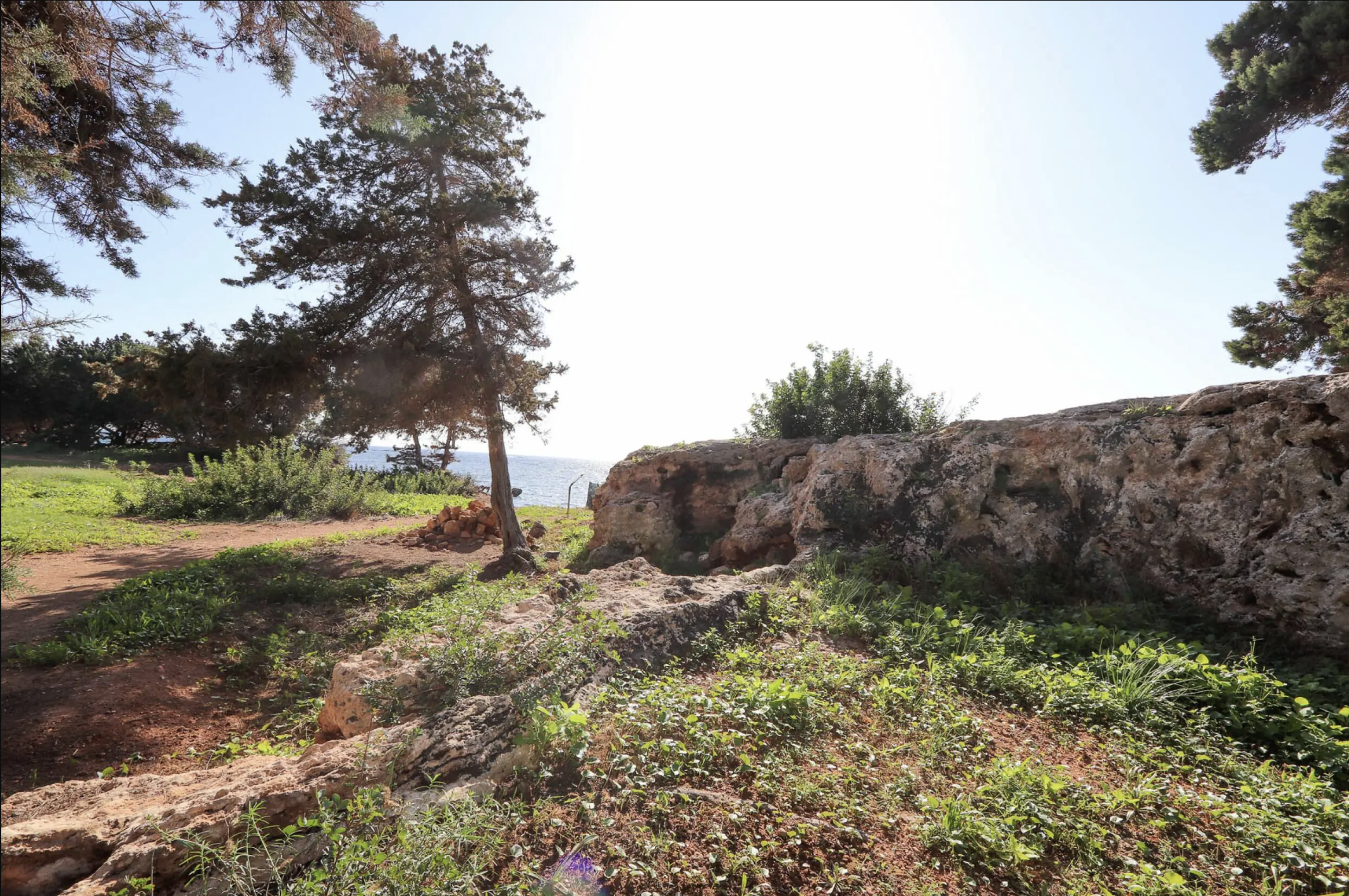 Terrain à vendre Ibiza Terreno Martina