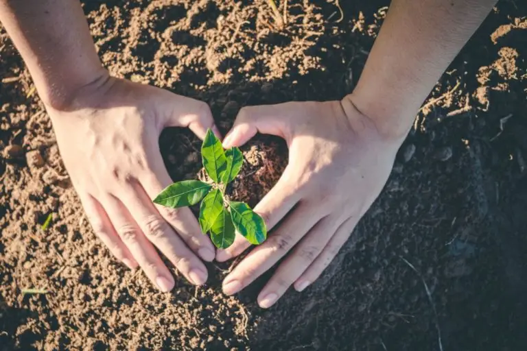 Comment réduire les émissions de CO₂ et calculer votre empreinte carbone
