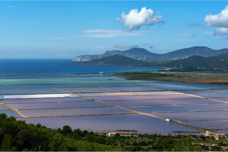 Vivre à Ibiza : La vie à Las Salinas