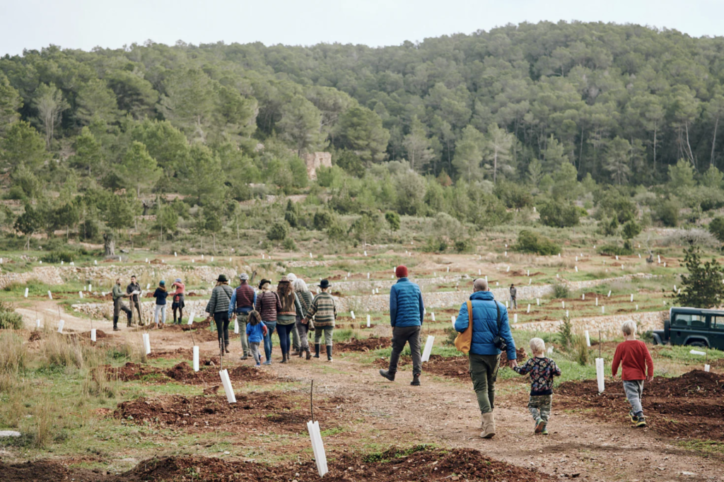 L'hiver à Ibiza - Juntos farm Ibiza