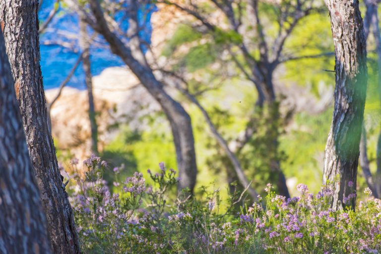 Ibiza en hiver : vivre au coin du feu et charme saisonnier